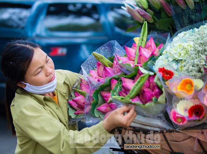 streets around hanoi enjoy sight of blossoming lotus flowers hinh 11