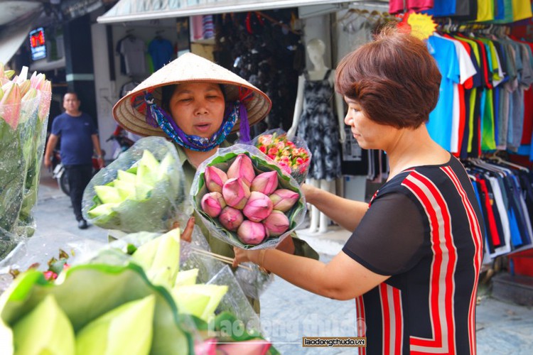 streets around hanoi enjoy sight of blossoming lotus flowers hinh 9