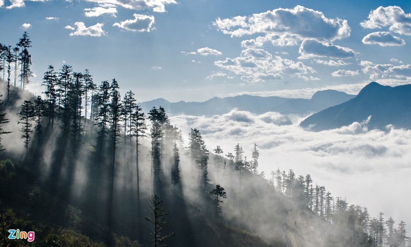 wonderful sa pa seen amid white clouds hinh 11