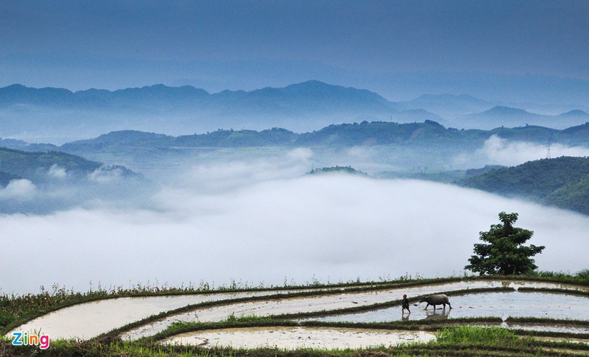 wonderful sa pa seen amid white clouds hinh 17