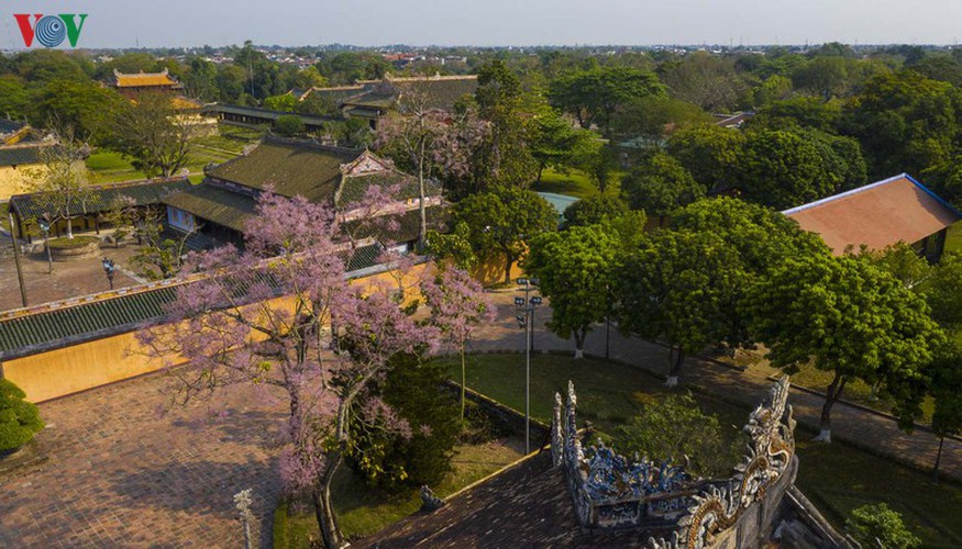 summer transforms hue into city of colourful charming flowers hinh 2