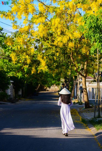 summer transforms hue into city of colourful charming flowers hinh 5