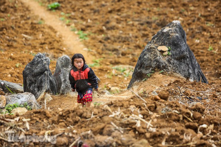 images of playful children on stone plateau in ha giang hinh 11