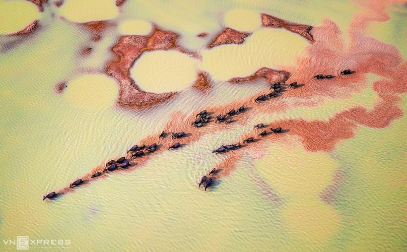 pristine beauty of tay ninh province caught on camera hinh 5