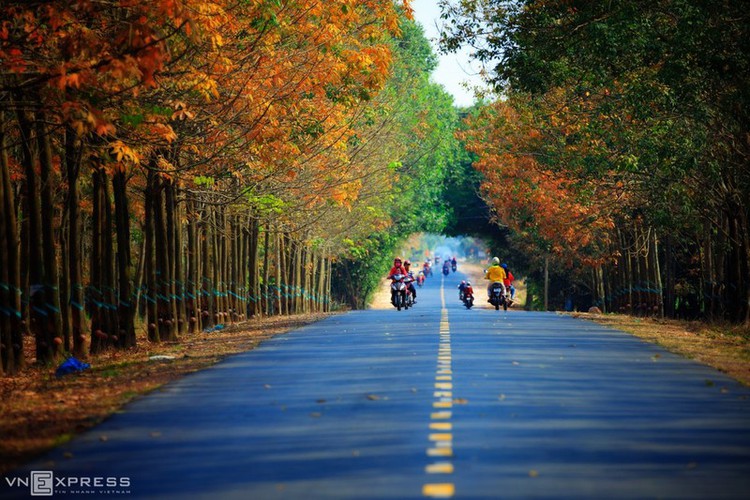 pristine beauty of tay ninh province caught on camera hinh 7