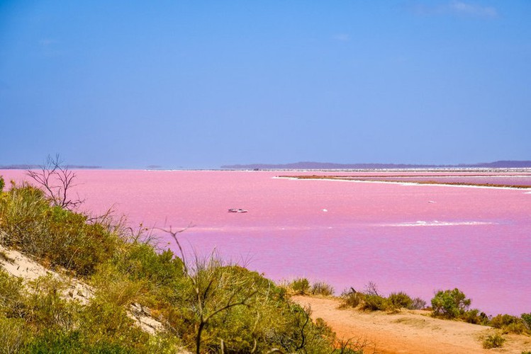 vietnam church among leading pink buildings to visit worldwide hinh 10