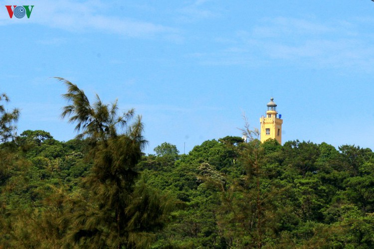 tourists enjoy the pristine beauty of co to island hinh 10