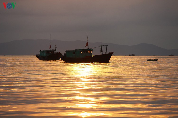 tourists enjoy the pristine beauty of co to island hinh 14