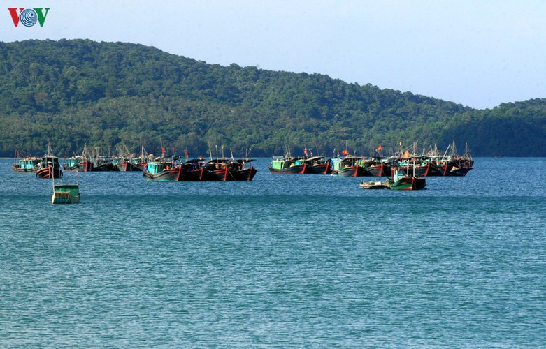 tourists enjoy the pristine beauty of co to island hinh 7