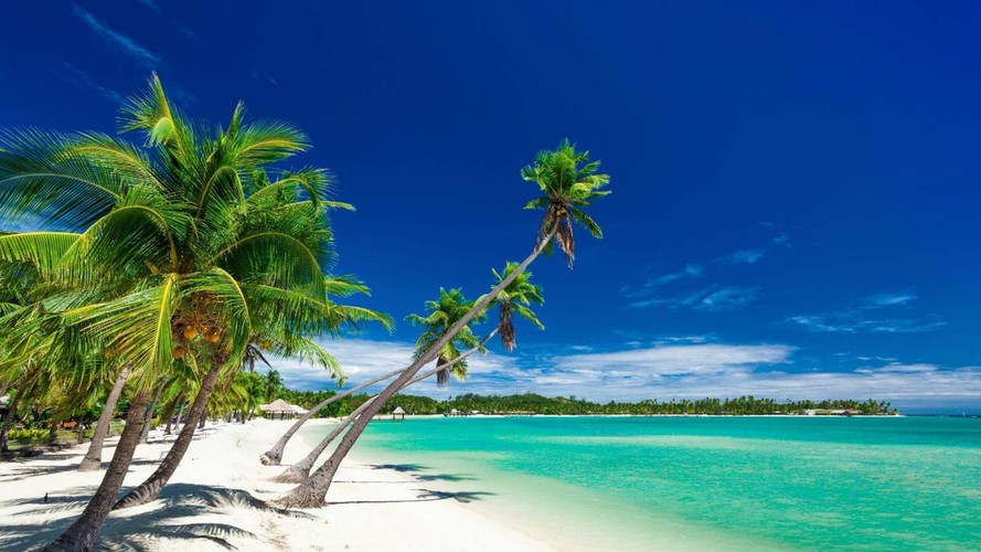 vietnam among leading global travel destinations for 2021 hinh 5