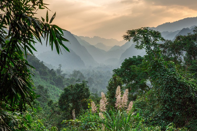 majestic phong nha-ke bang national park through lens of foreign photographer hinh 1