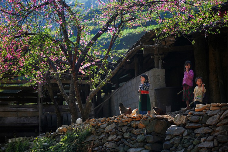 vietnamese locations named among best backpacker spots by hostelworld hinh 1