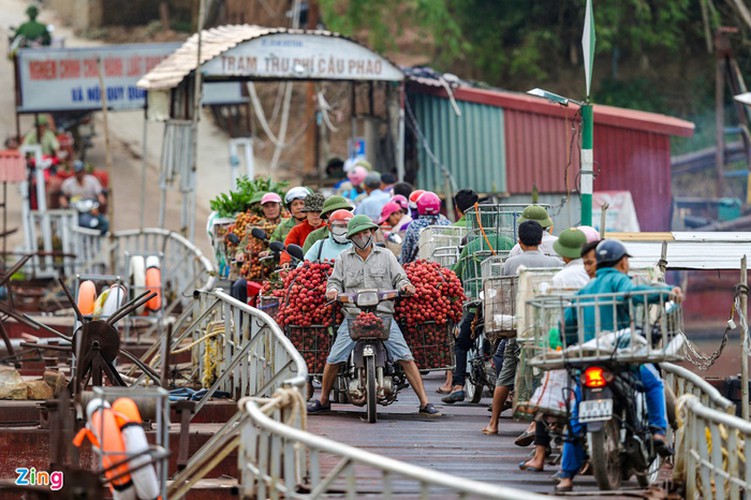 vietnam unique lychee market in full swing hinh 12