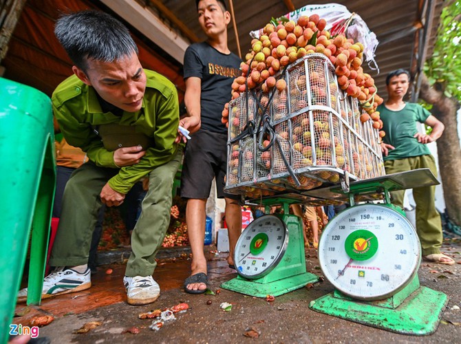 vietnam unique lychee market in full swing hinh 15