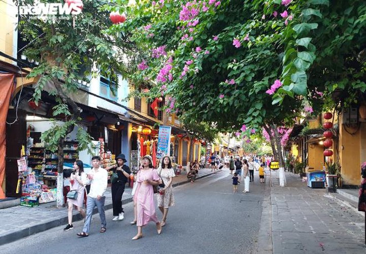 vibrant atmosphere returns to hoi an’s old quarter following re-opening hinh 5