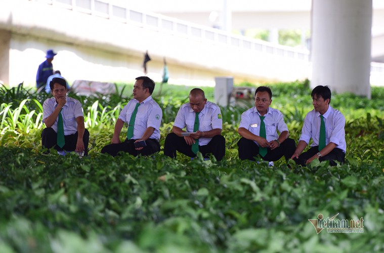 hanoi endures second heat wave, temperatures drop in hcm city hinh 14