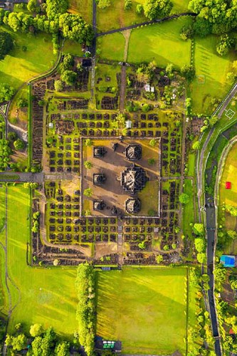 vietnamese photographer wins place in 50 best photos of #green2020 hinh 10