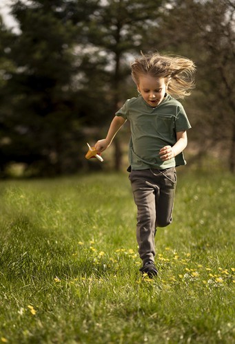 vietnamese photographer wins place in 50 best photos of #green2020 hinh 11