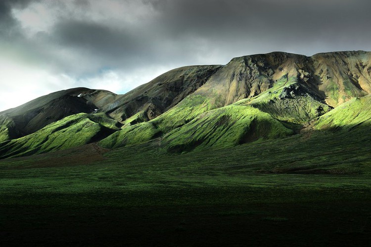 vietnamese photographer wins place in 50 best photos of #green2020 hinh 12