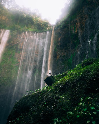 vietnamese photographer wins place in 50 best photos of #green2020 hinh 13