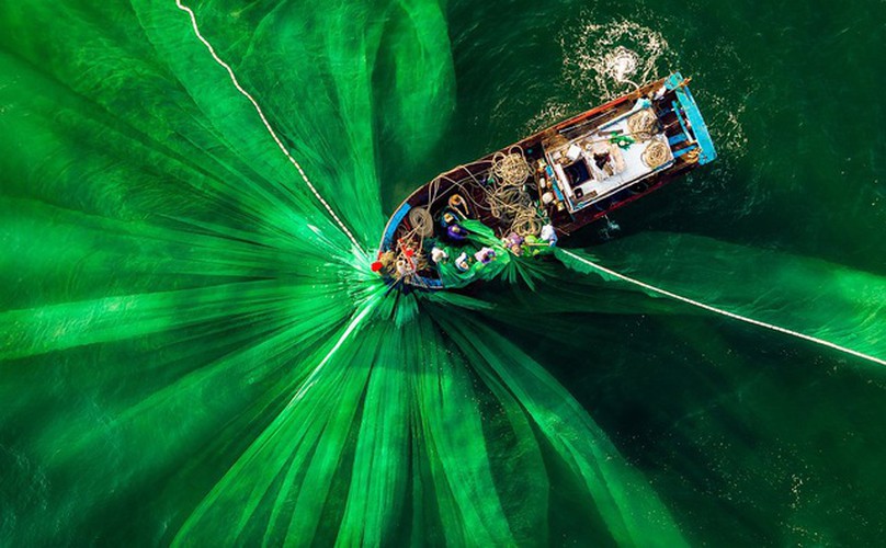 vietnamese photographer wins place in 50 best photos of #green2020 hinh 1