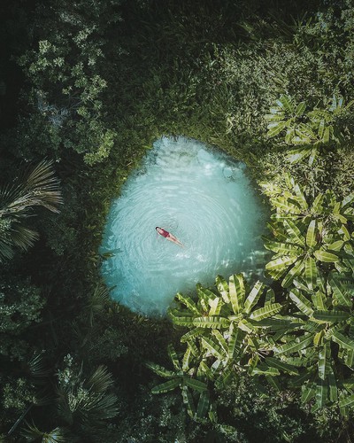 vietnamese photographer wins place in 50 best photos of #green2020 hinh 9