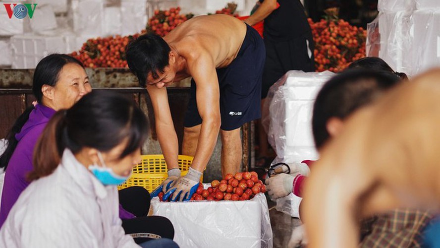 vietnamese fruit increasingly popular among foreign consumers hinh 8