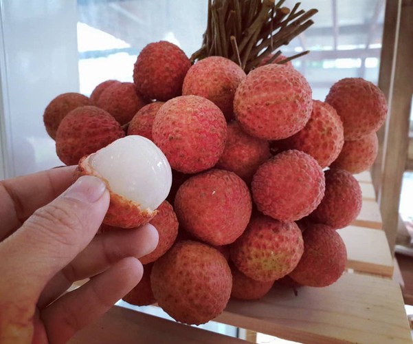 indispensable dishes consumed during doan ngo festival hinh 11