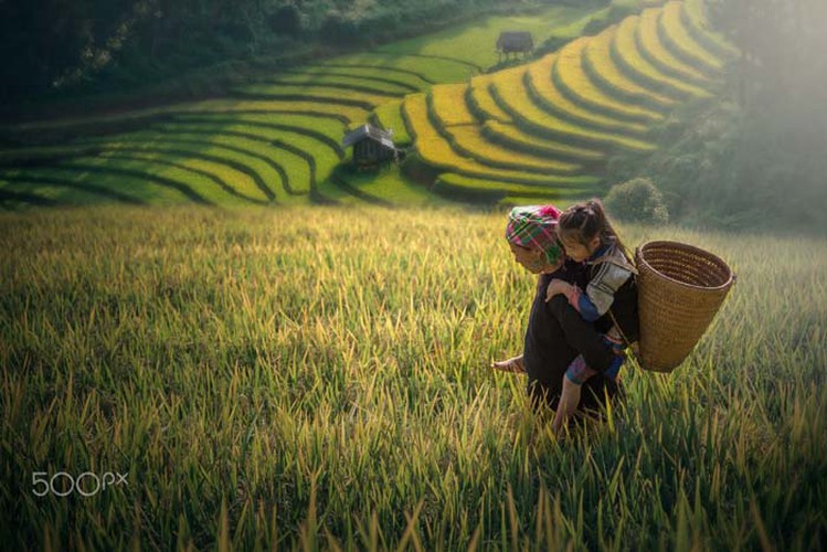 ha giang province captured through lens of photographers hinh 11
