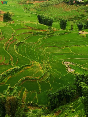 romantic valley seen from fansipan cable car hinh 5