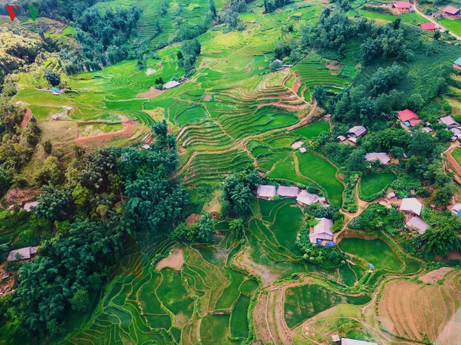 romantic valley seen from fansipan cable car hinh 6