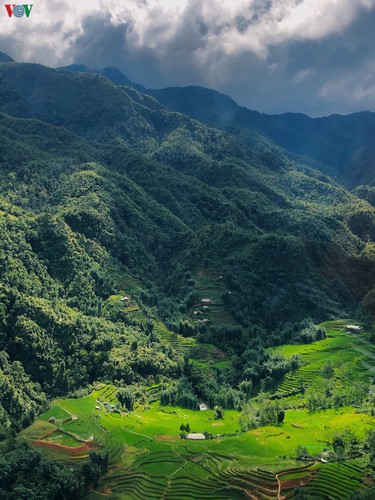 romantic valley seen from fansipan cable car hinh 8