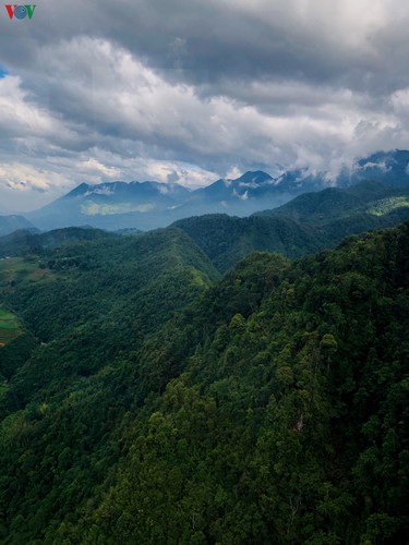 romantic valley seen from fansipan cable car hinh 9