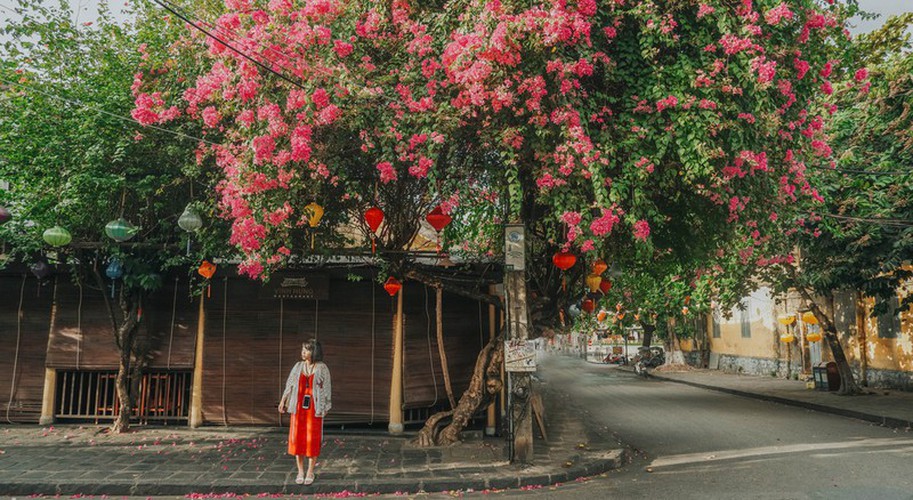 discovering spots in hoi an perfect for taking amazing selfies hinh 6