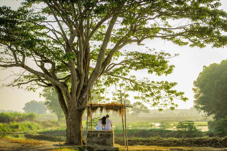 hue proves to be ideal destination for filmmakers due to romantic landscapes hinh 3