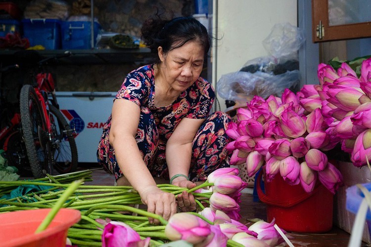 how hanoi’s lotus-scented tea is made hinh 3