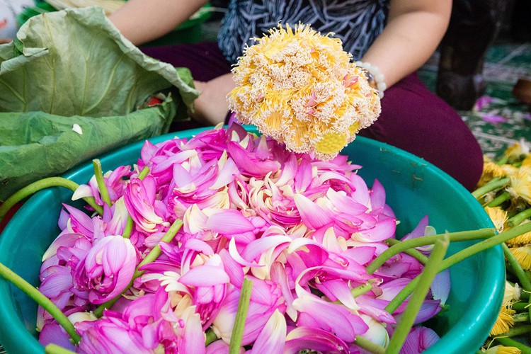 how hanoi’s lotus-scented tea is made hinh 5