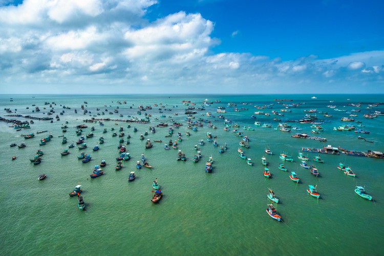 leading vietnamese locations to view coral reefs hinh 1