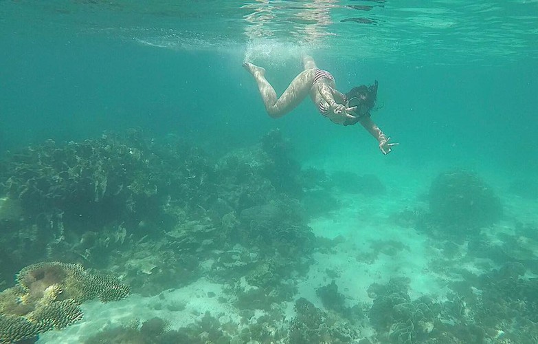 leading vietnamese locations to view coral reefs hinh 2