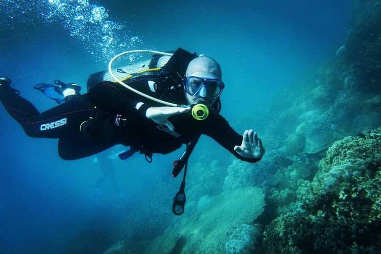 leading vietnamese locations to view coral reefs hinh 3