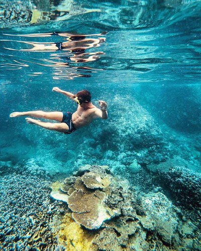 leading vietnamese locations to view coral reefs hinh 4