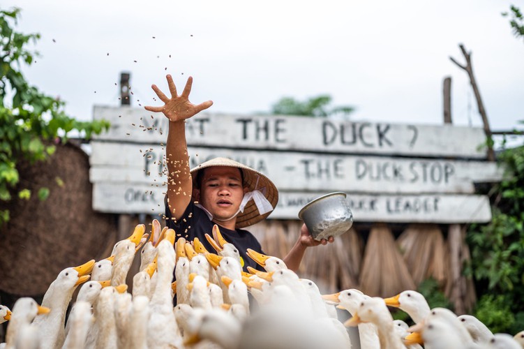 the new york times spotlights epic landscape of quang binh hinh 5