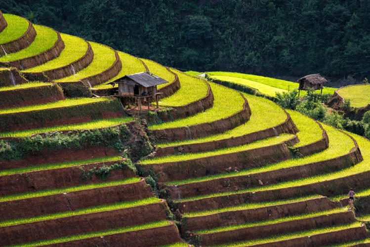 mu cang chai appears picturesque through lens of foreign photographers hinh 11