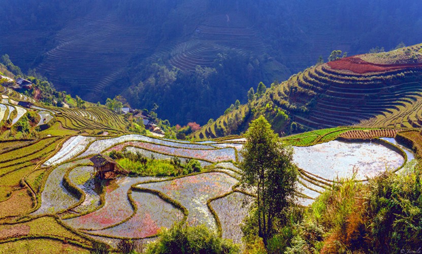 mu cang chai appears picturesque through lens of foreign photographers hinh 12