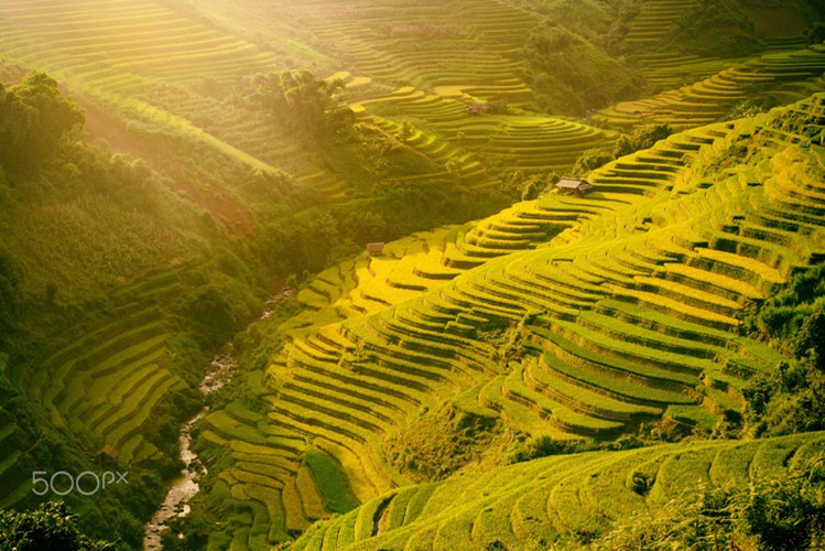 mu cang chai appears picturesque through lens of foreign photographers hinh 13
