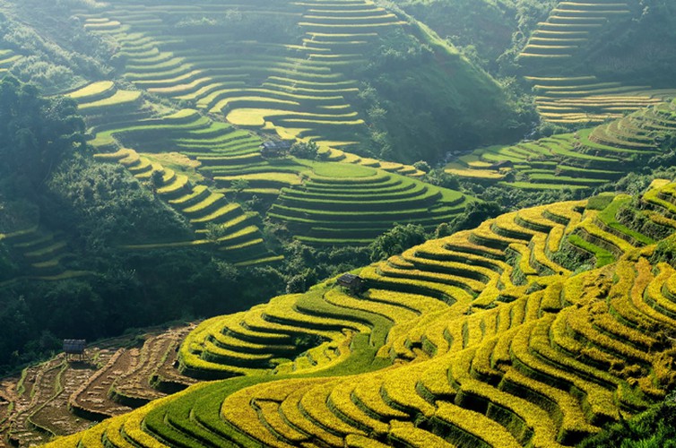 mu cang chai appears picturesque through lens of foreign photographers hinh 1