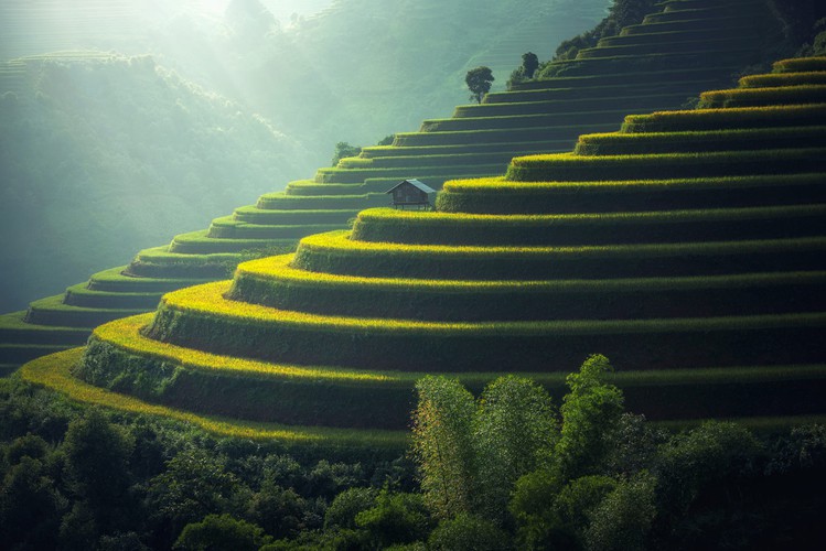 mu cang chai appears picturesque through lens of foreign photographers hinh 3