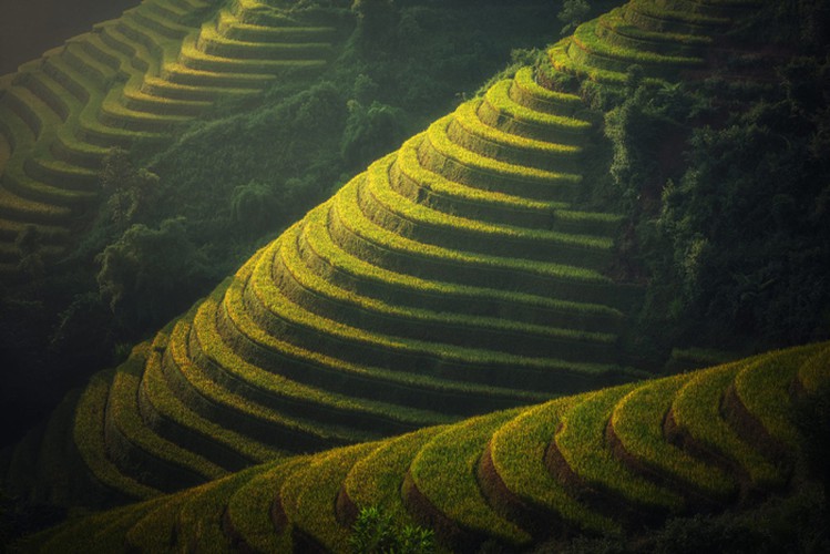 mu cang chai appears picturesque through lens of foreign photographers hinh 4