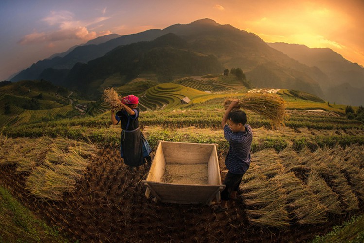 mu cang chai appears picturesque through lens of foreign photographers hinh 6