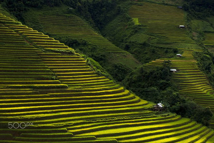 mu cang chai appears picturesque through lens of foreign photographers hinh 7